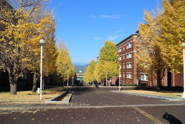 2020 Campus 